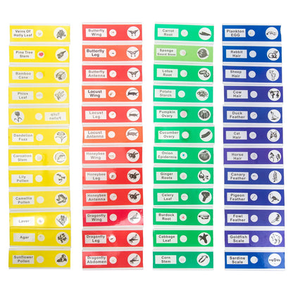 MicroSlides - Prepared Slides Set (48 Piece)